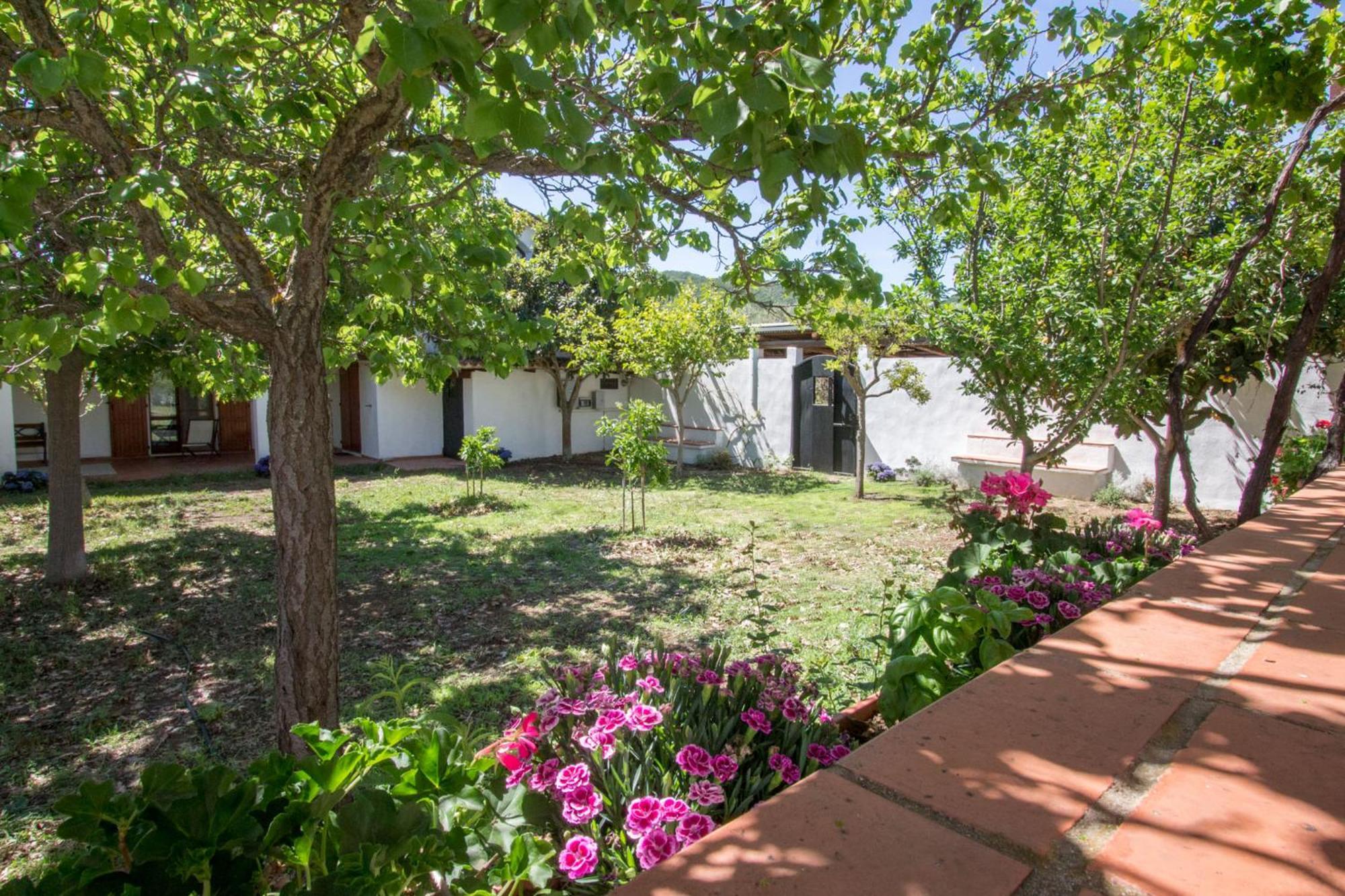 Apartmán Abba Arrubia Camisa Exteriér fotografie